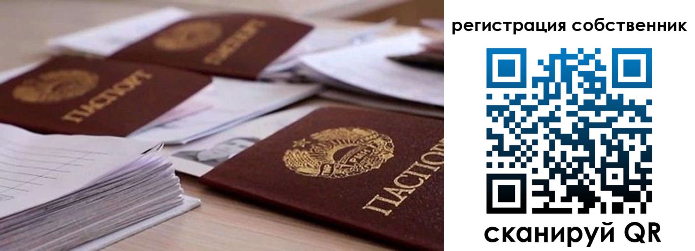 прописка штамп в Александровске